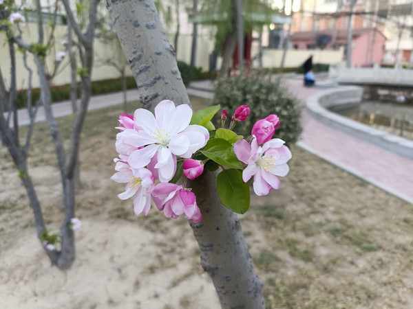 SY/T5037螺旋缝埋弧焊钢管的尺寸、外形及质量